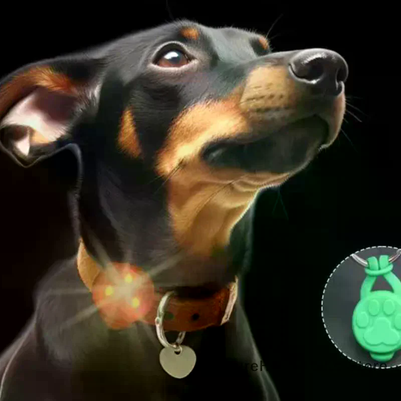 Silicone Pet Cat Dog Night LED - Tech Dog Accessories 评论和价格