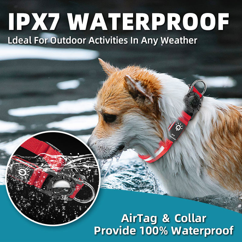New Pet Collars WaterProof Led - Tech Dog Accessories 评论和价格