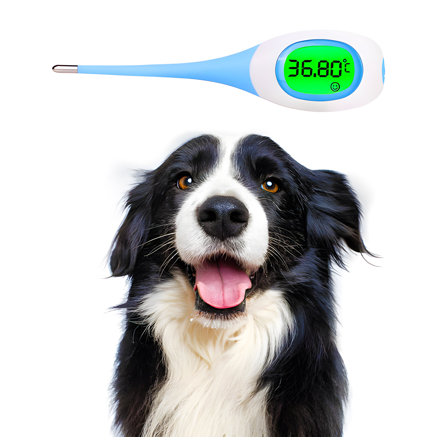 Fast-Accurate Smart Pet & Live - Vet Tech Accessories 评论和价格