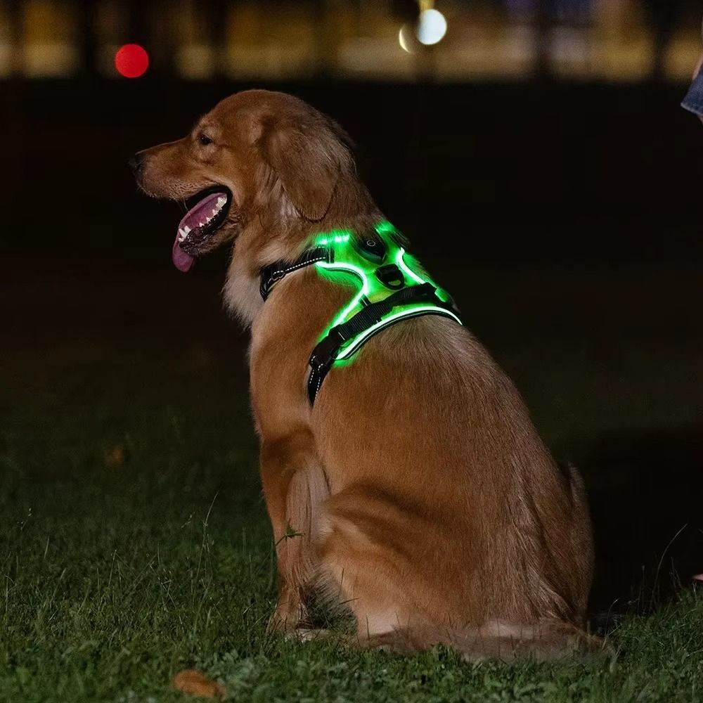 Light Up LED Dog Harness Recha - Tech Dog Accessories 评论和价格