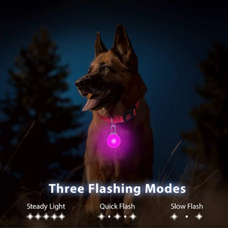 LED Glowing Pendant Flashlight - Tech Dog Accessories 评论和价格