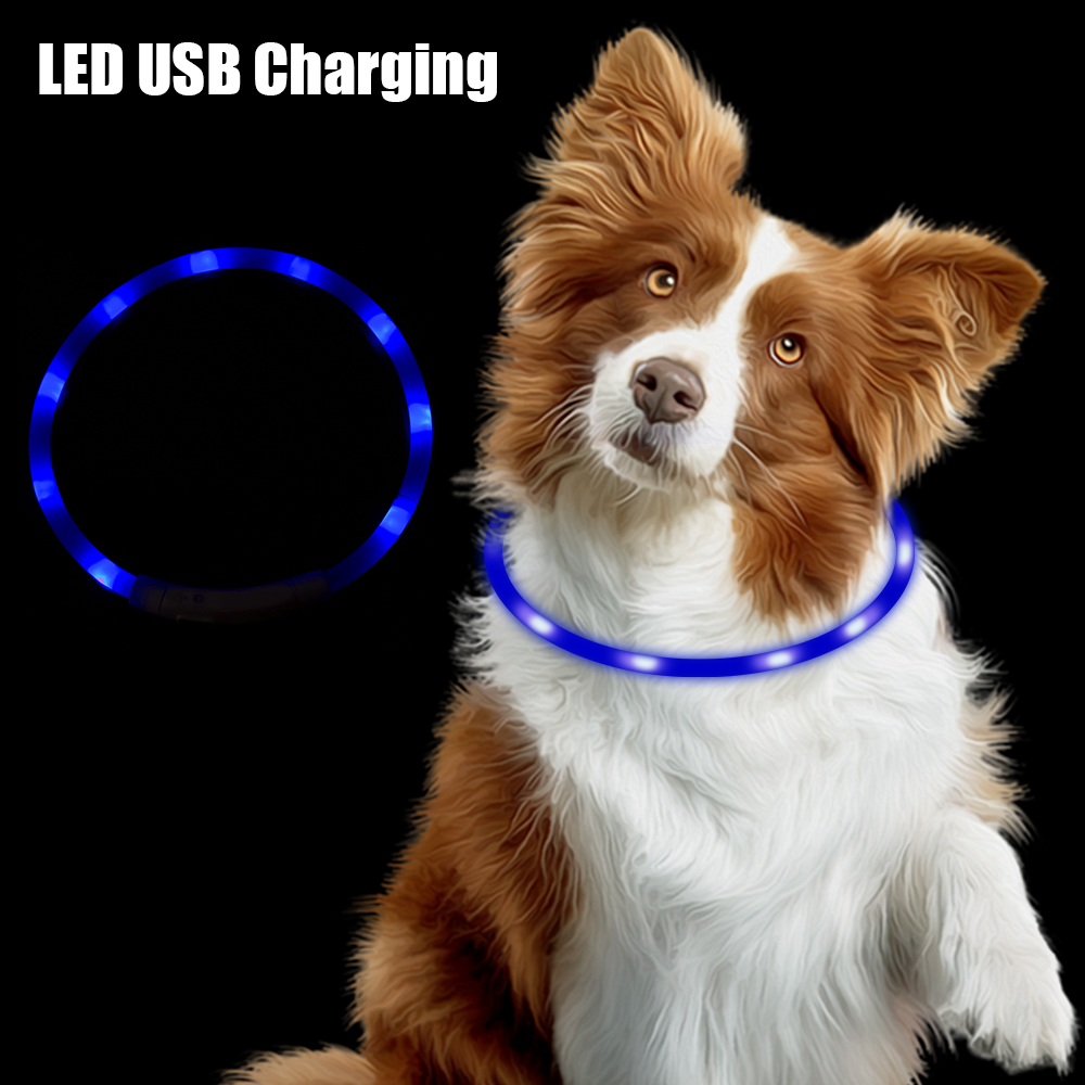 Night Safety Flashing Glow  Co - Tech Dog Accessories 评论和价格