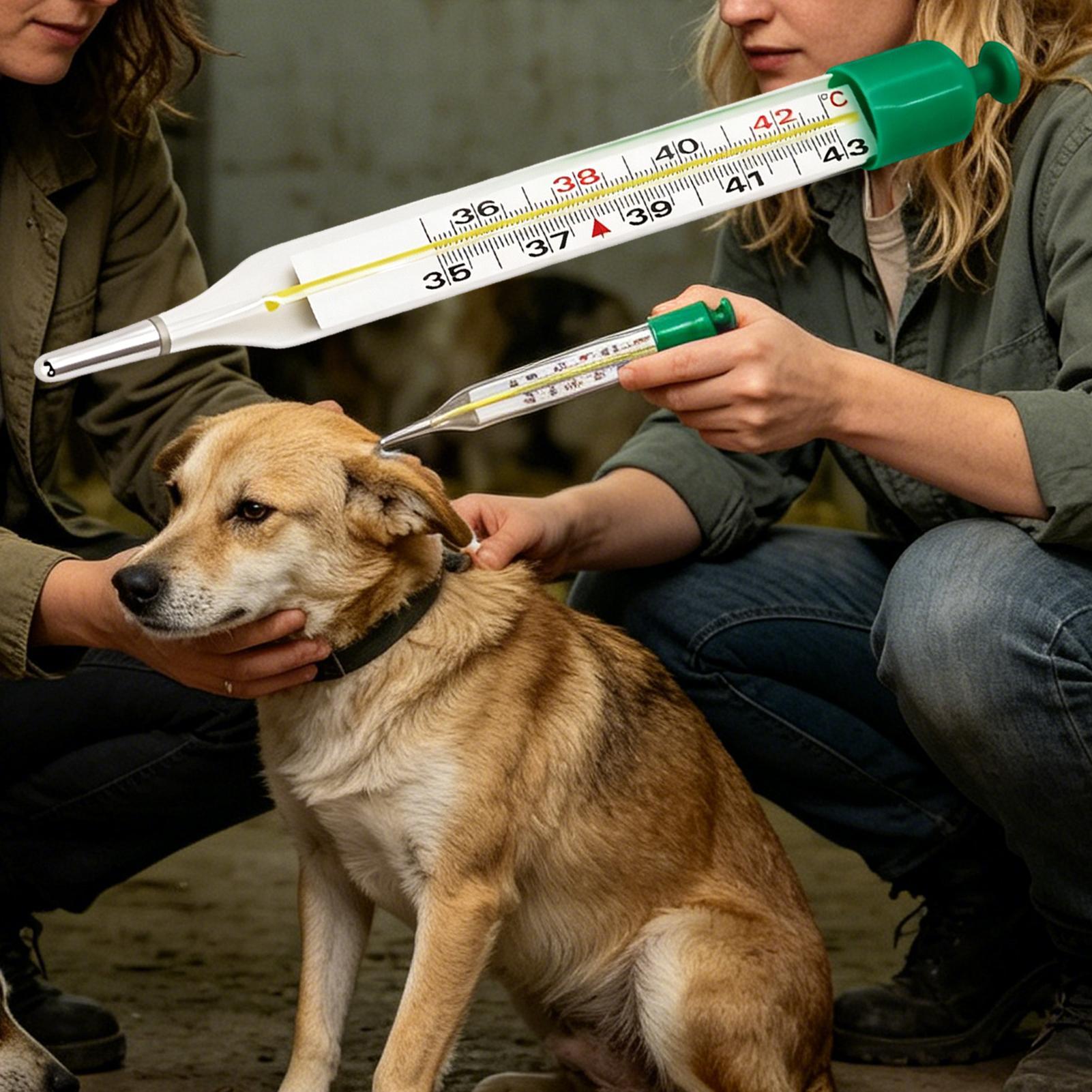 Pet Thermometer with Stretch C - Vet Tech Accessories 评论和价格