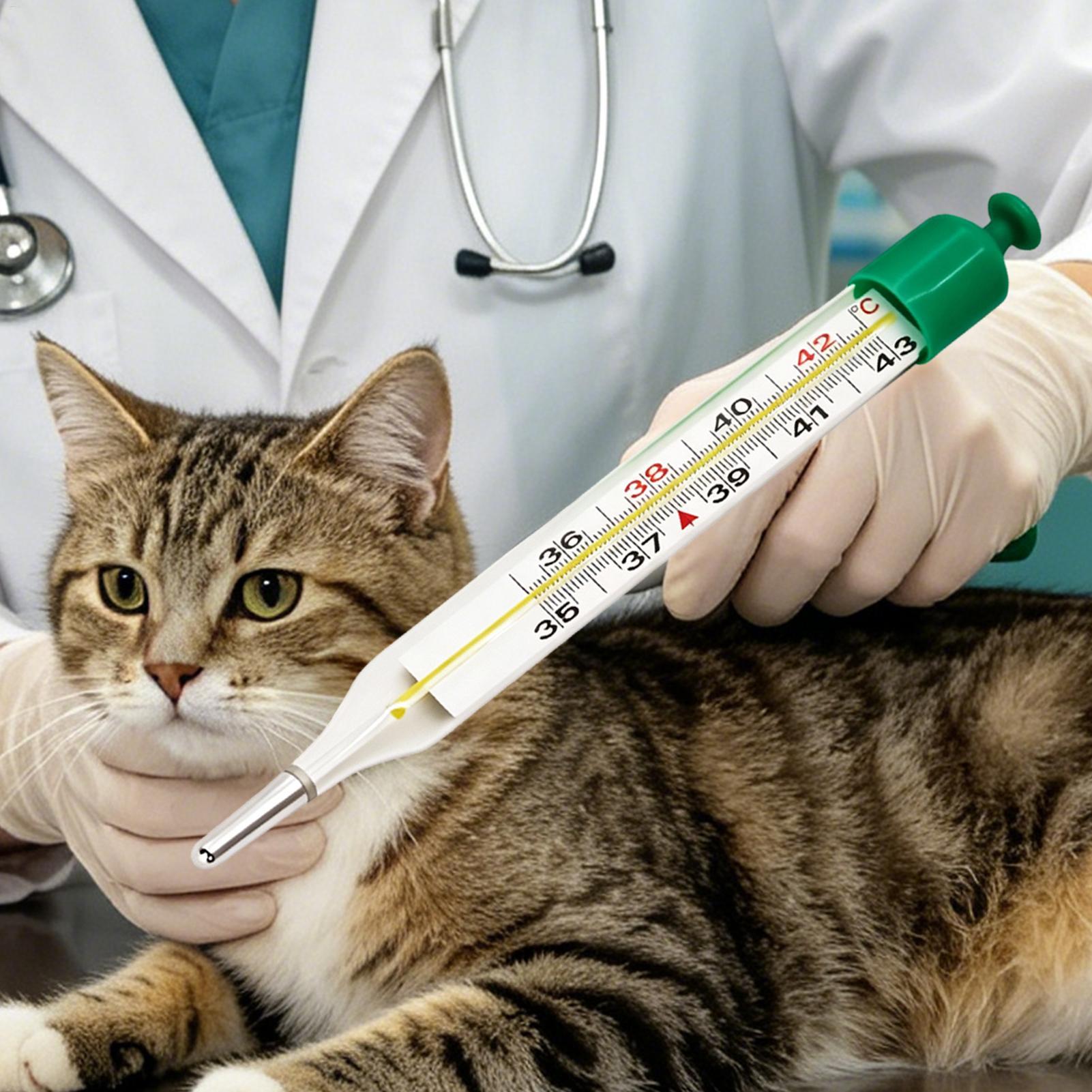 Pet Thermometer with Stretch C - Vet Tech Accessories 评论和价格